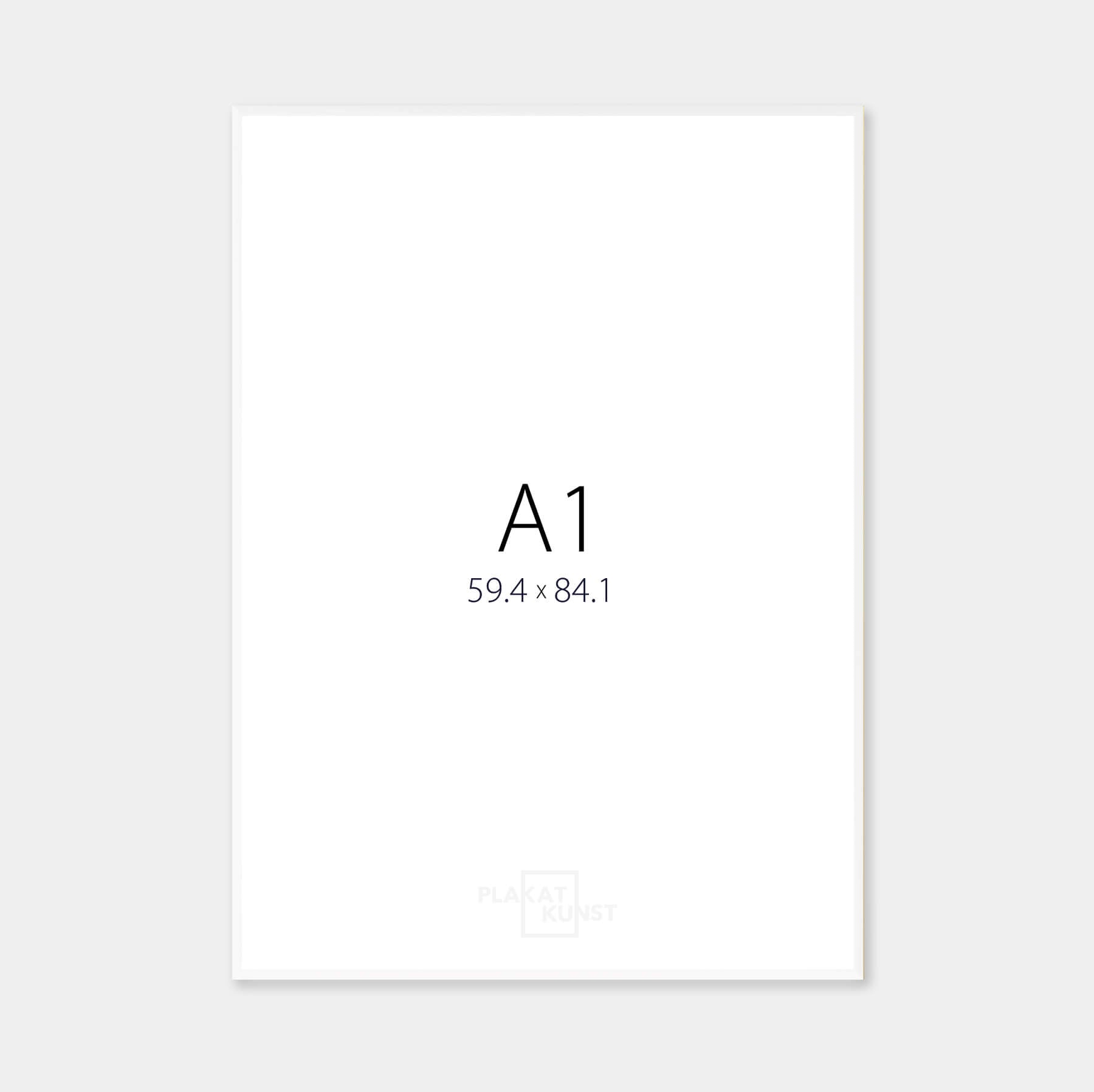 Mat sølv aluramme – Smal (9 mm) – A1 (59,4x84,1 cm)