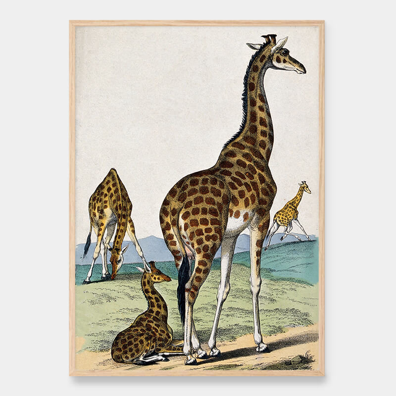 Fire giraffer