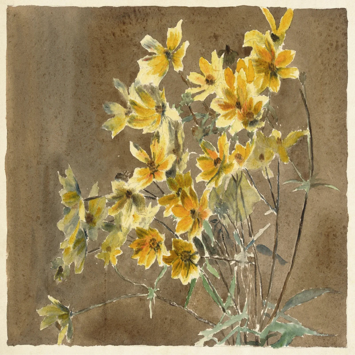 Gul blomst