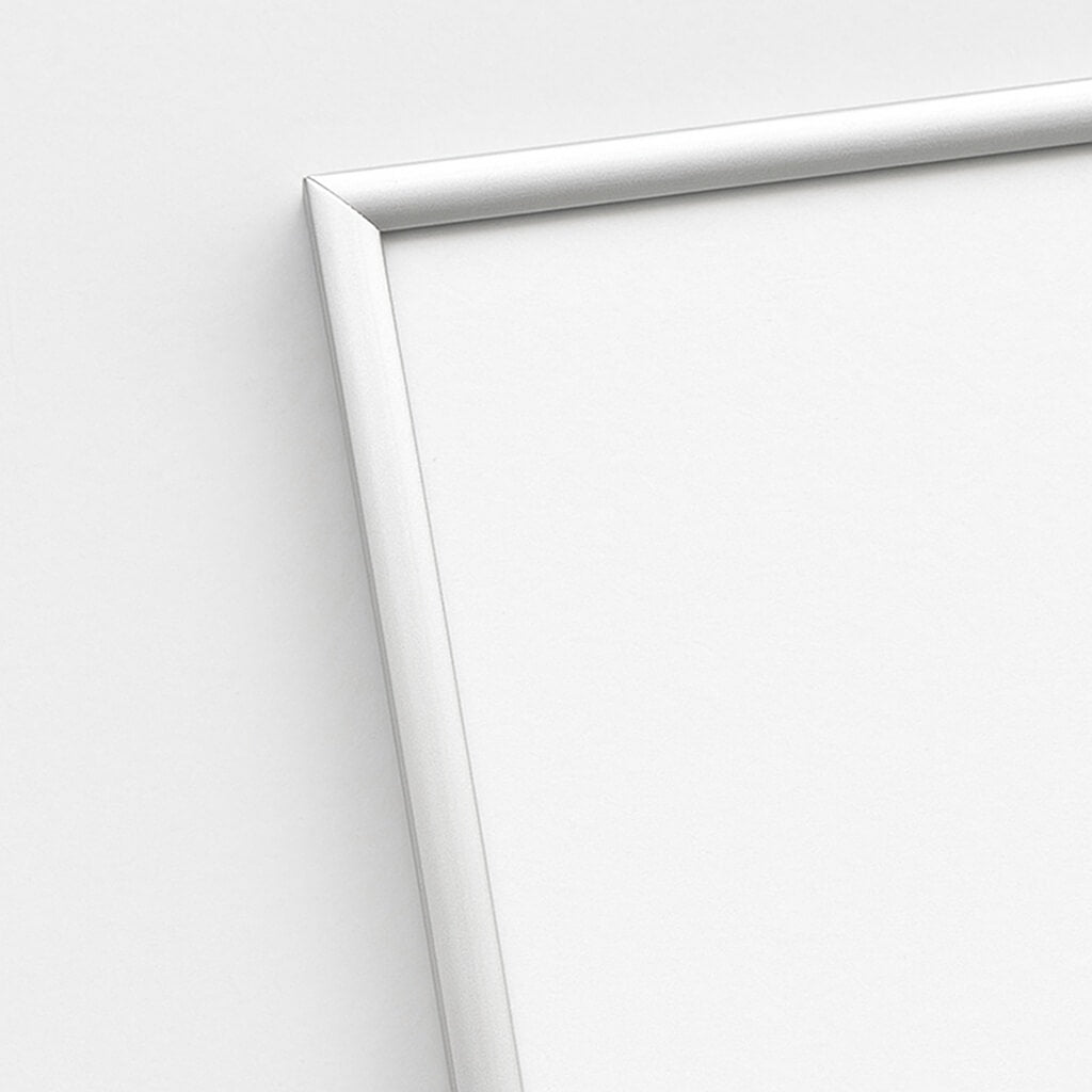 Sølv mat premium aluramme - Smal (6 mm) - Specialmål