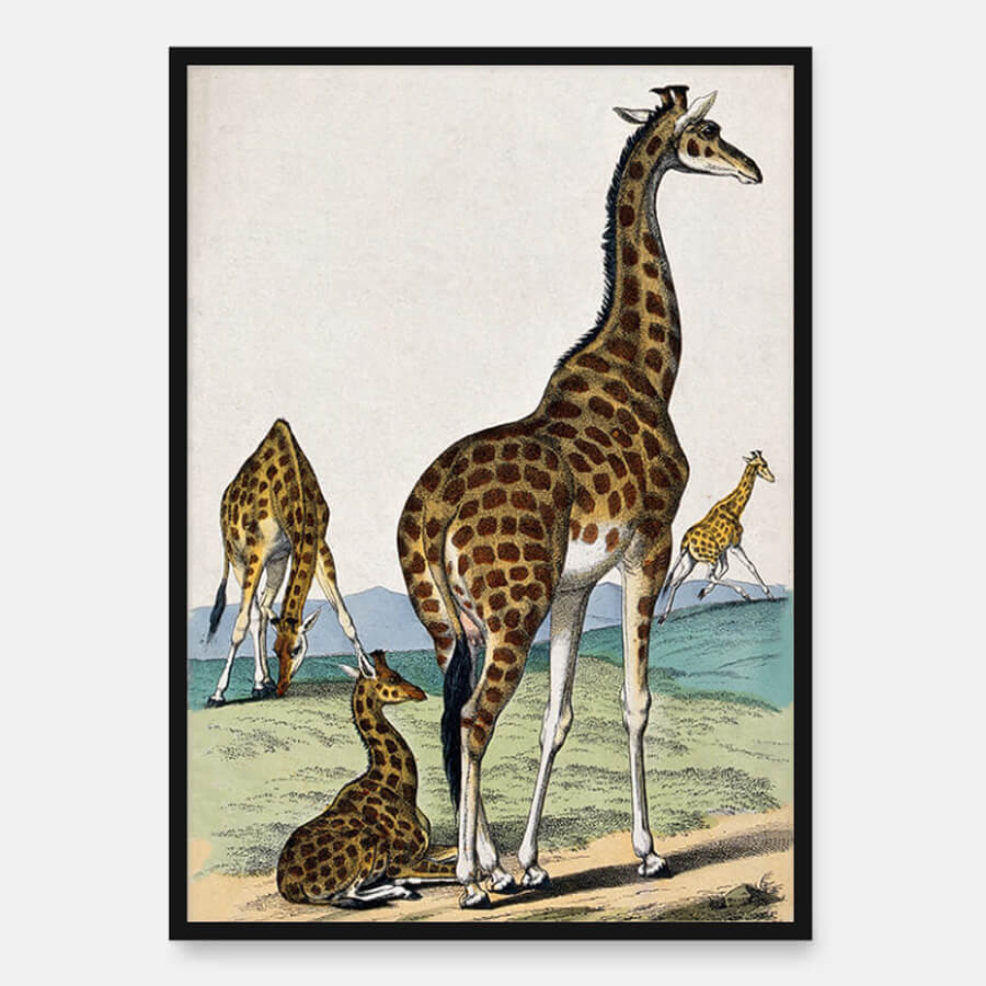 Fire giraffer