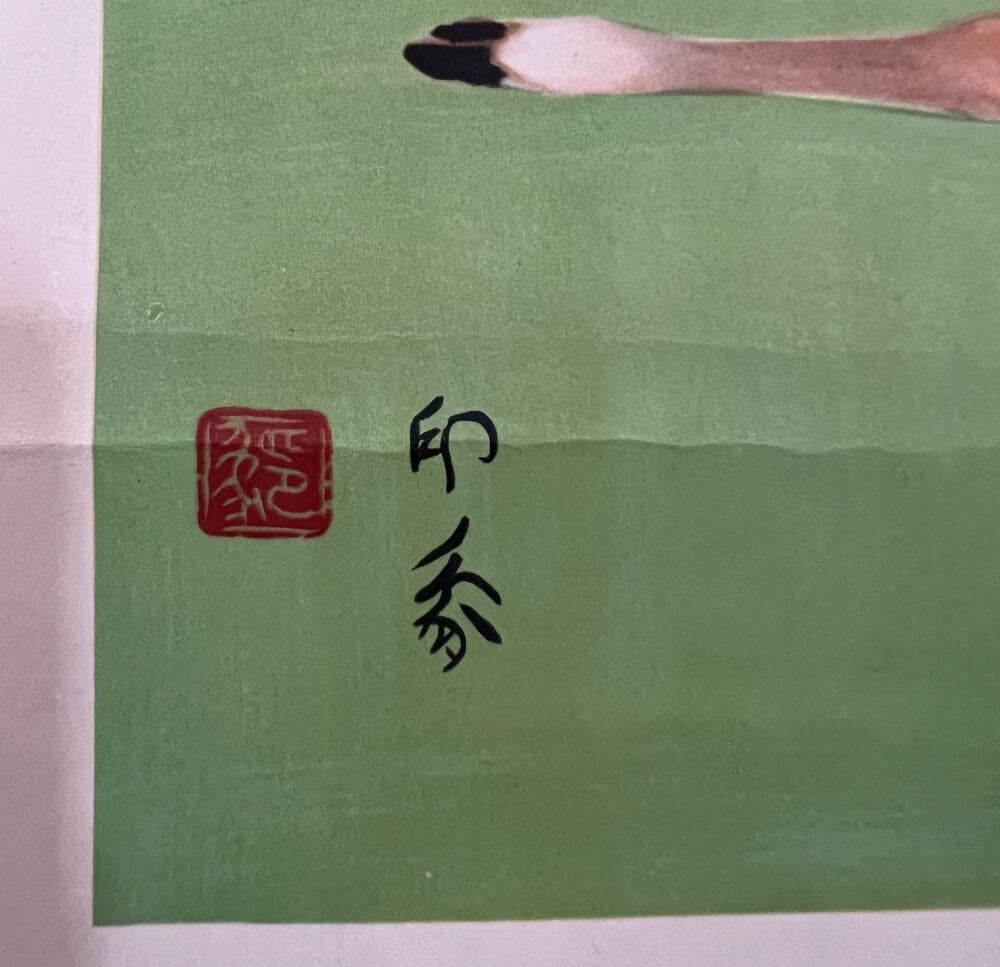 Japan - Japansk have med plettede hjorte
