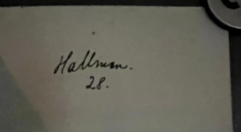 DDL - Det danske Luftfartselskab