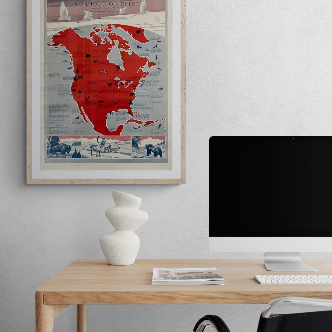 S.O.S. for a continent