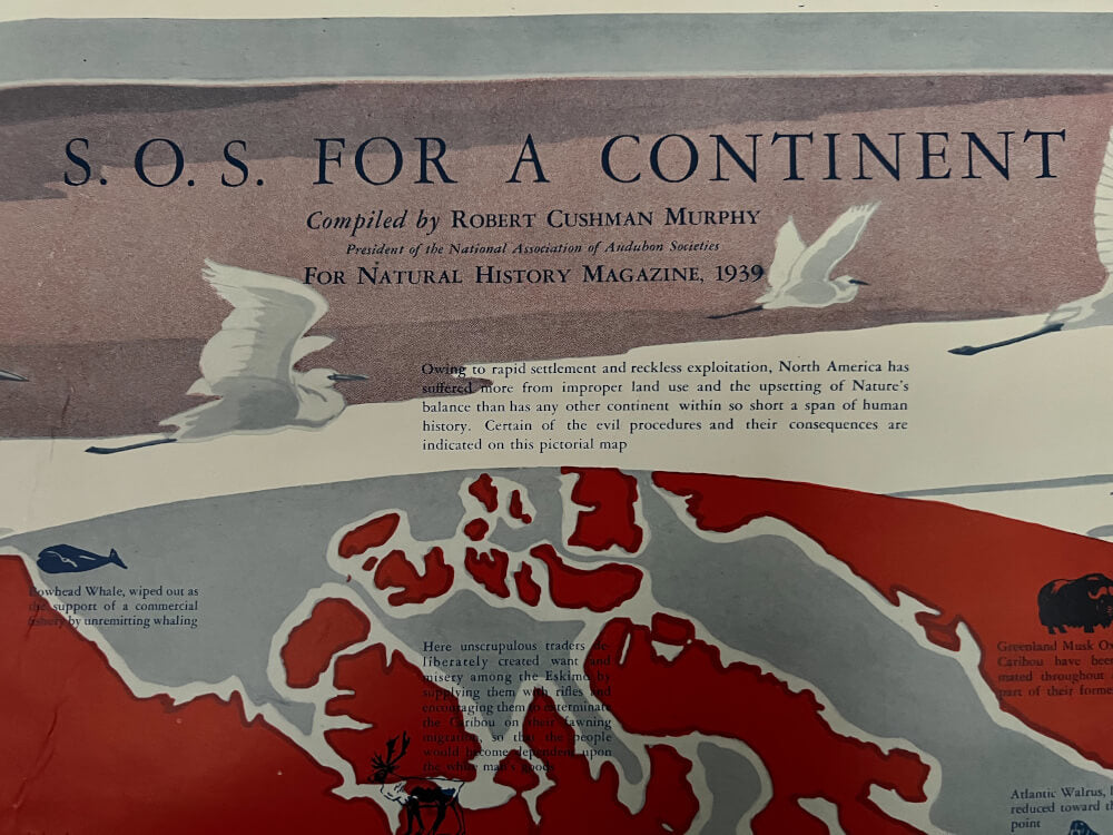 S.O.S. for a continent