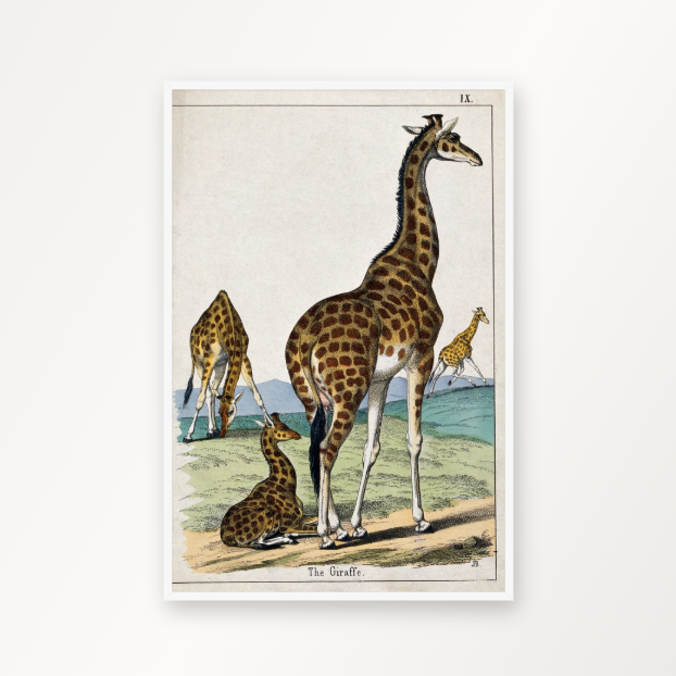 Fire giraffer