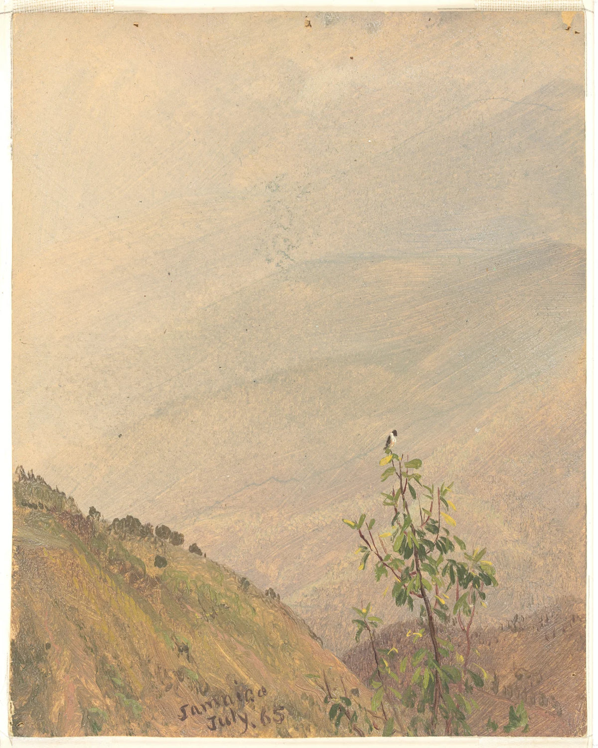 Distant Hills, Jamaica