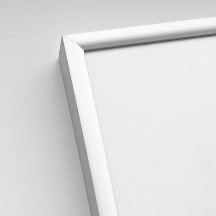 Mat sølv premium aluramme - Smal (6 mm) - A0 (84,1x118,9 cm)