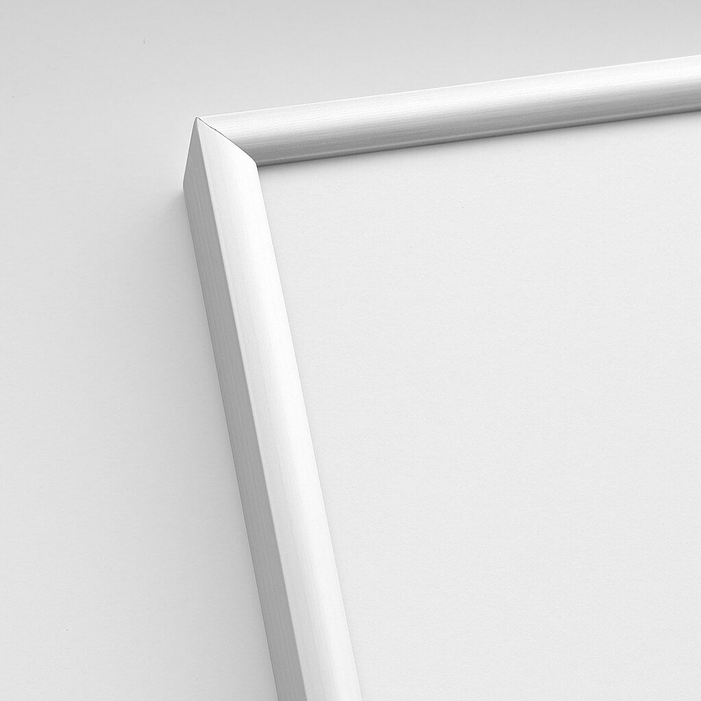 Sølv mat aluramme - Smal (9 mm)