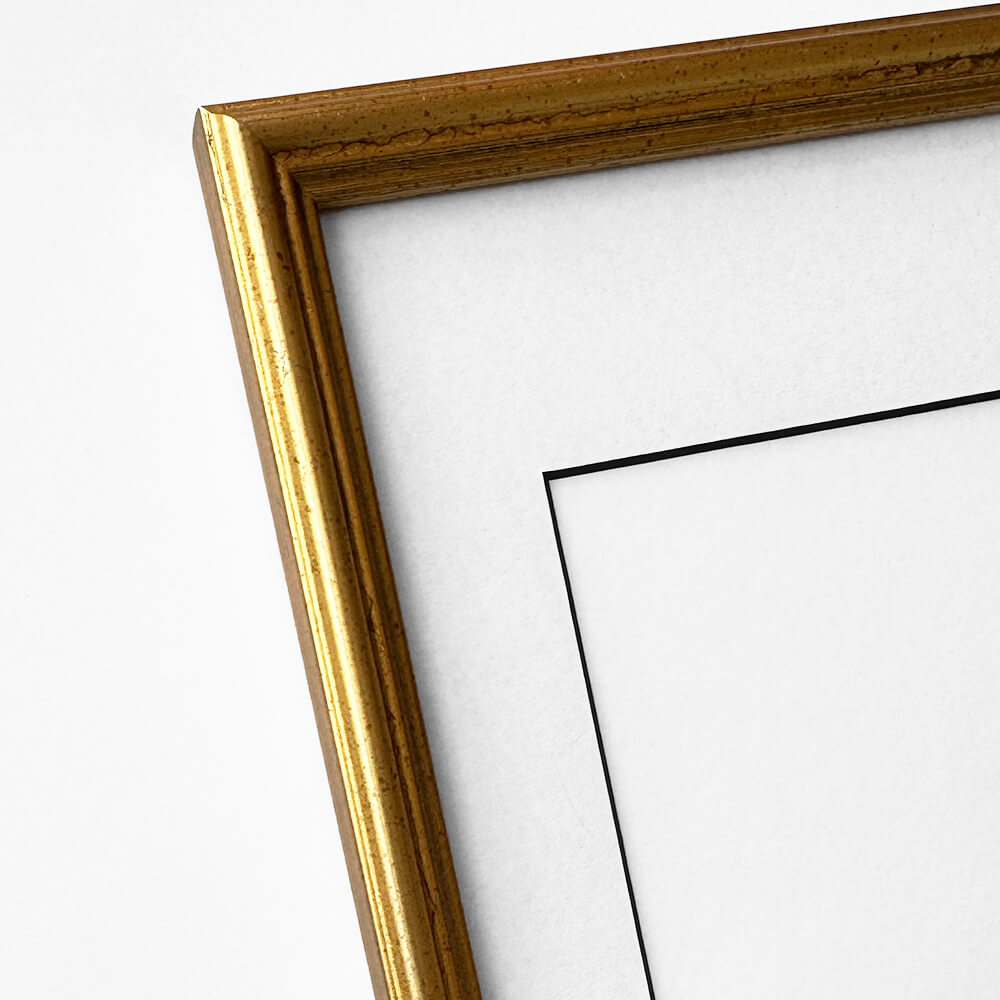 Vintage guldramme - Smal (15 mm) - 30x40 cm